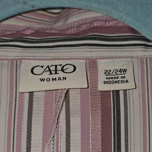 Cato Multistripe Button-Front Blouse in Pink, White and Brown - Picture 2 of 3